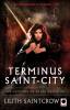 Danny Valentine 3 - Terminus Saint-City